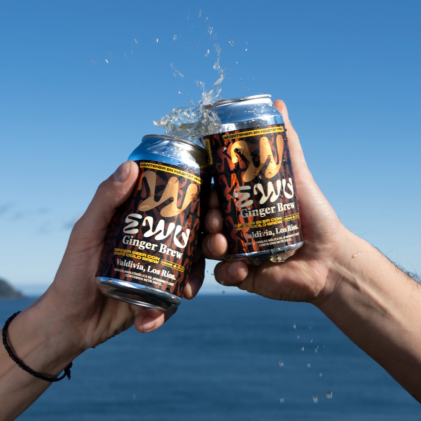 Dos latas de EWU Ginger Brew brindando frente al mar