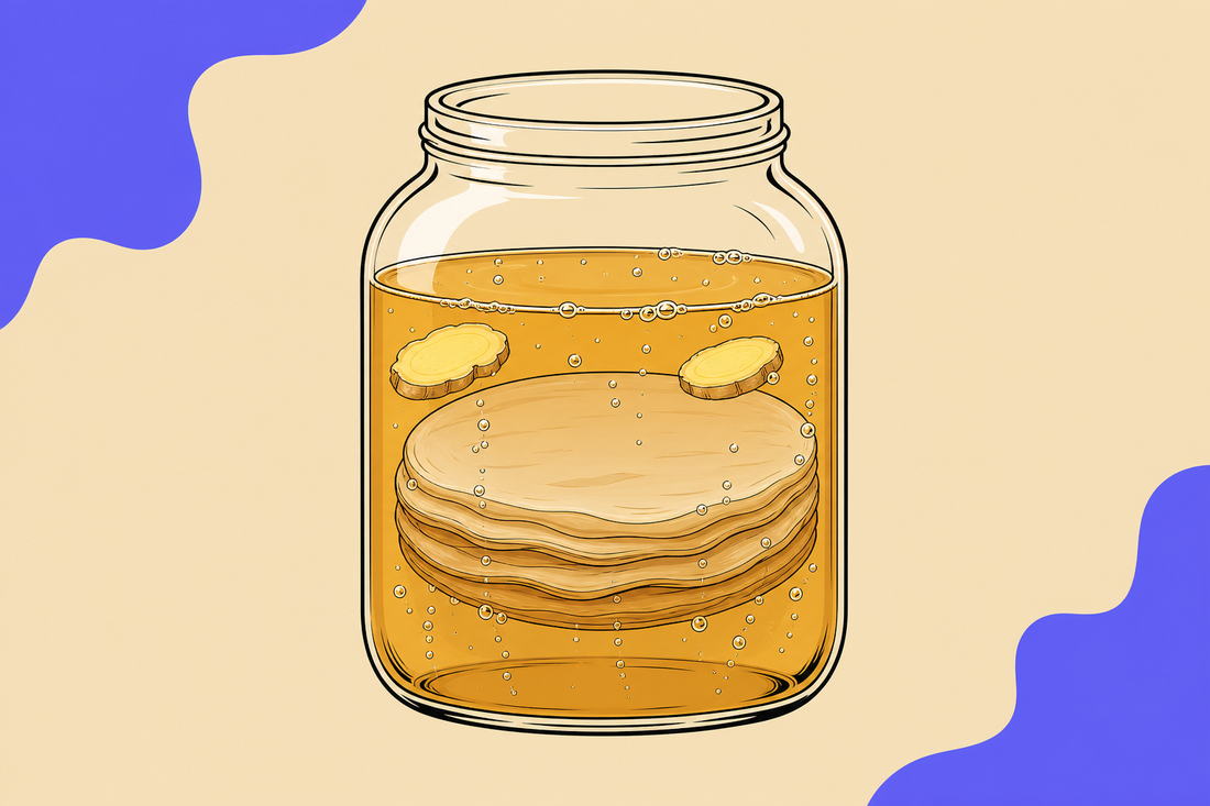 Ilustracion de un frasco de vidrio con un cultivo SCOBY en capas dentro de liquido burbujeante junto a rodajas de jengibre