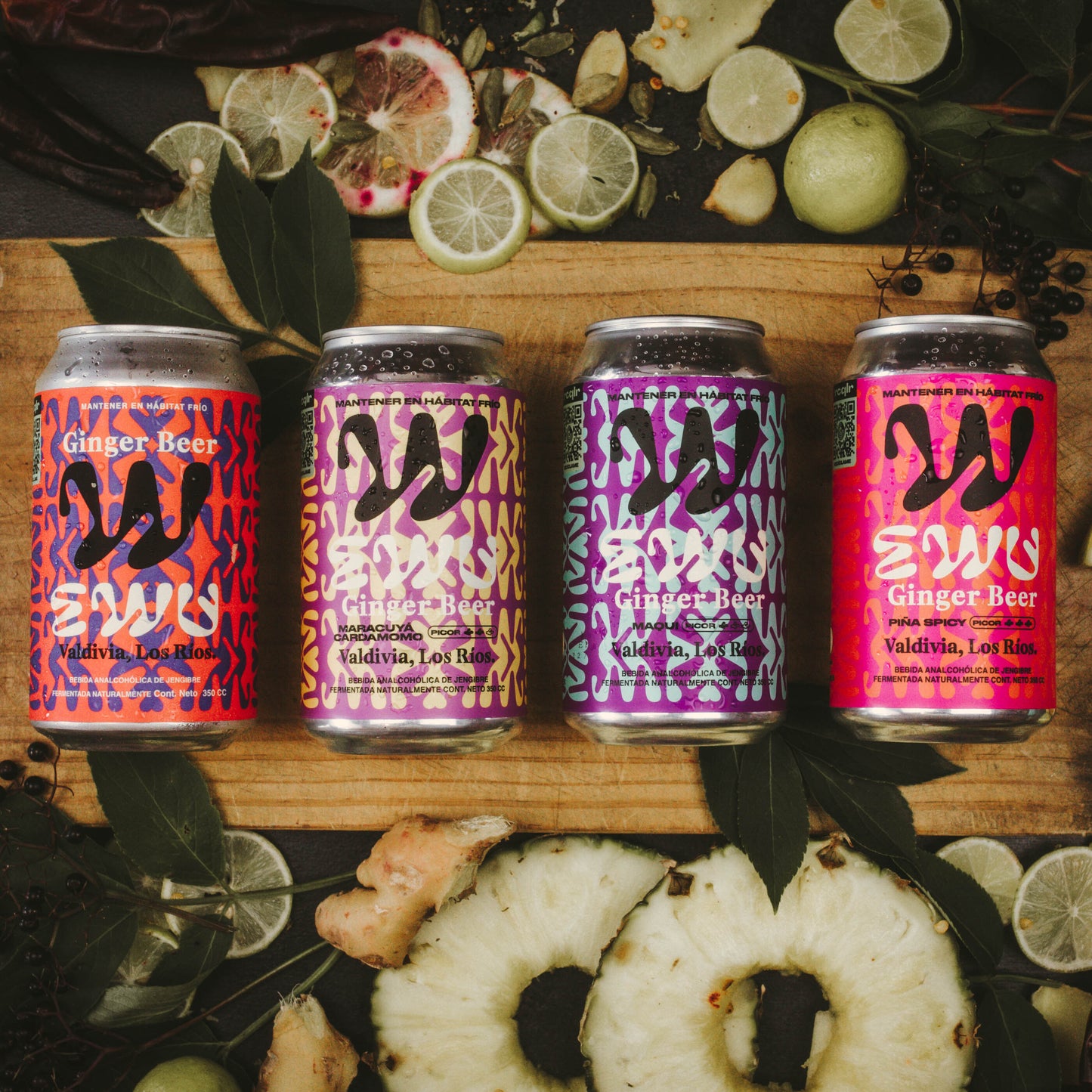 EWU GINGER BEER 24MIX 4 SABORES