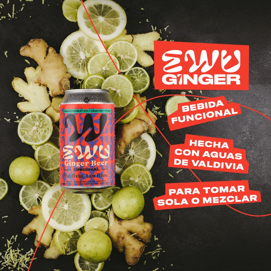 EWU Ginger Beer Original: bebida funcional hecha con aguas de Valdivia, para tomar sola o mezclada