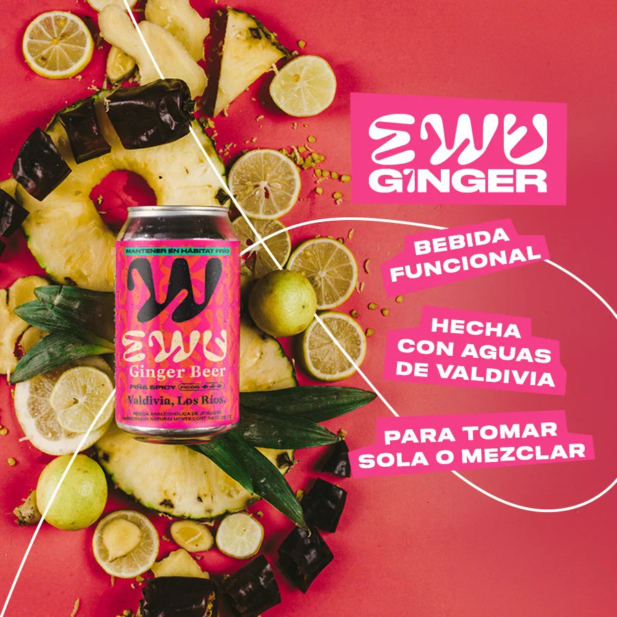 EWU Ginger Beer Piña Spicy: bebida funcional hecha con aguas de Valdivia, para tomar sola o mezclada