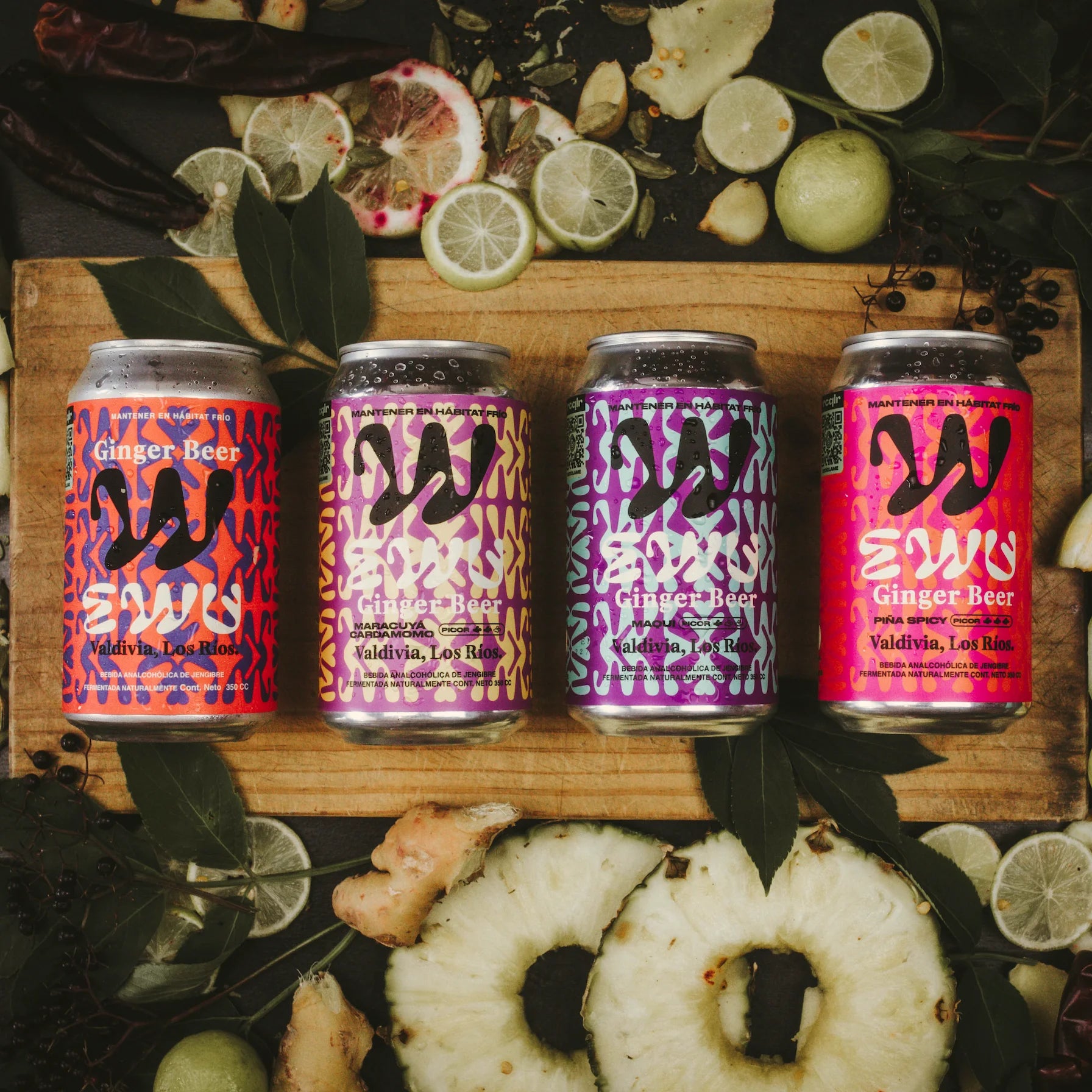 Las 4 latas del pack EWU Ginger Beer 24MIX: Original, Maracuyá Cardamomo, Maqui y Piña Spicy