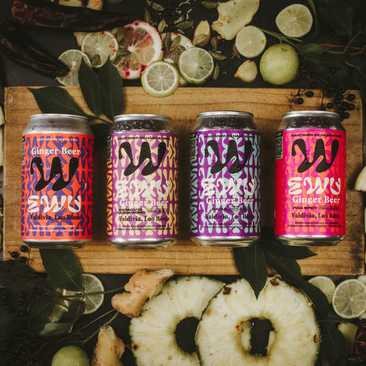 Las 4 latas del pack EWU Ginger Beer 24MIX: Original, Maracuyá Cardamomo, Maqui y Piña Spicy