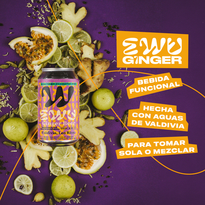 EWU GINGER BEER MARACUYÁ CARDAMOMO