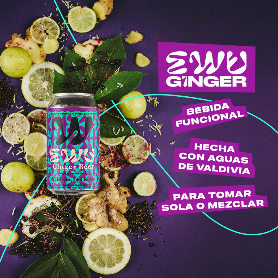 EWU GINGER BEER MAQUI