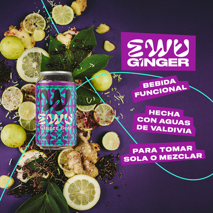 EWU GINGER BEER MAQUI