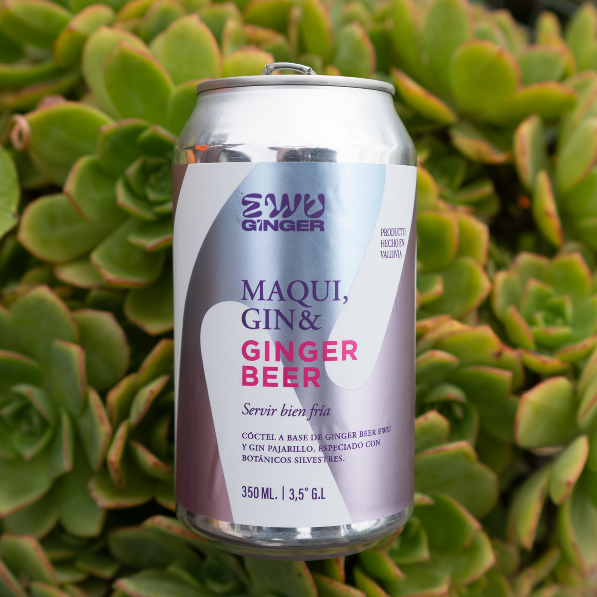 EWU Ginger & Gin Maqui