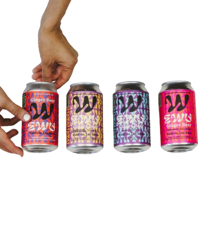 EWU GINGER BEER 24MIX 4 SABORES