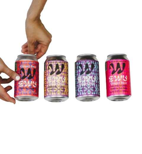 EWU GINGER BEER 24MIX 4 SABORES