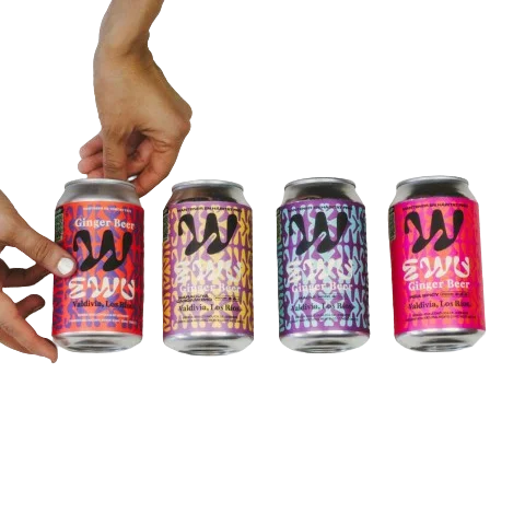 Manos sosteniendo las 4 latas de sabores del pack EWU Ginger Beer 24MIX